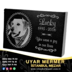 Evcil Hayvan Mezar Modelleri 7