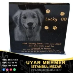 Evcil Hayvan Mezar Modelleri 9