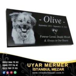 Evcil Hayvan Mezar Modelleri 10